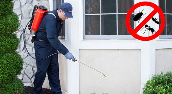 Taşlıçay Bit İlaçlama böcek ilaçlama ve haşere kontrolü — ilaclama-tr.com